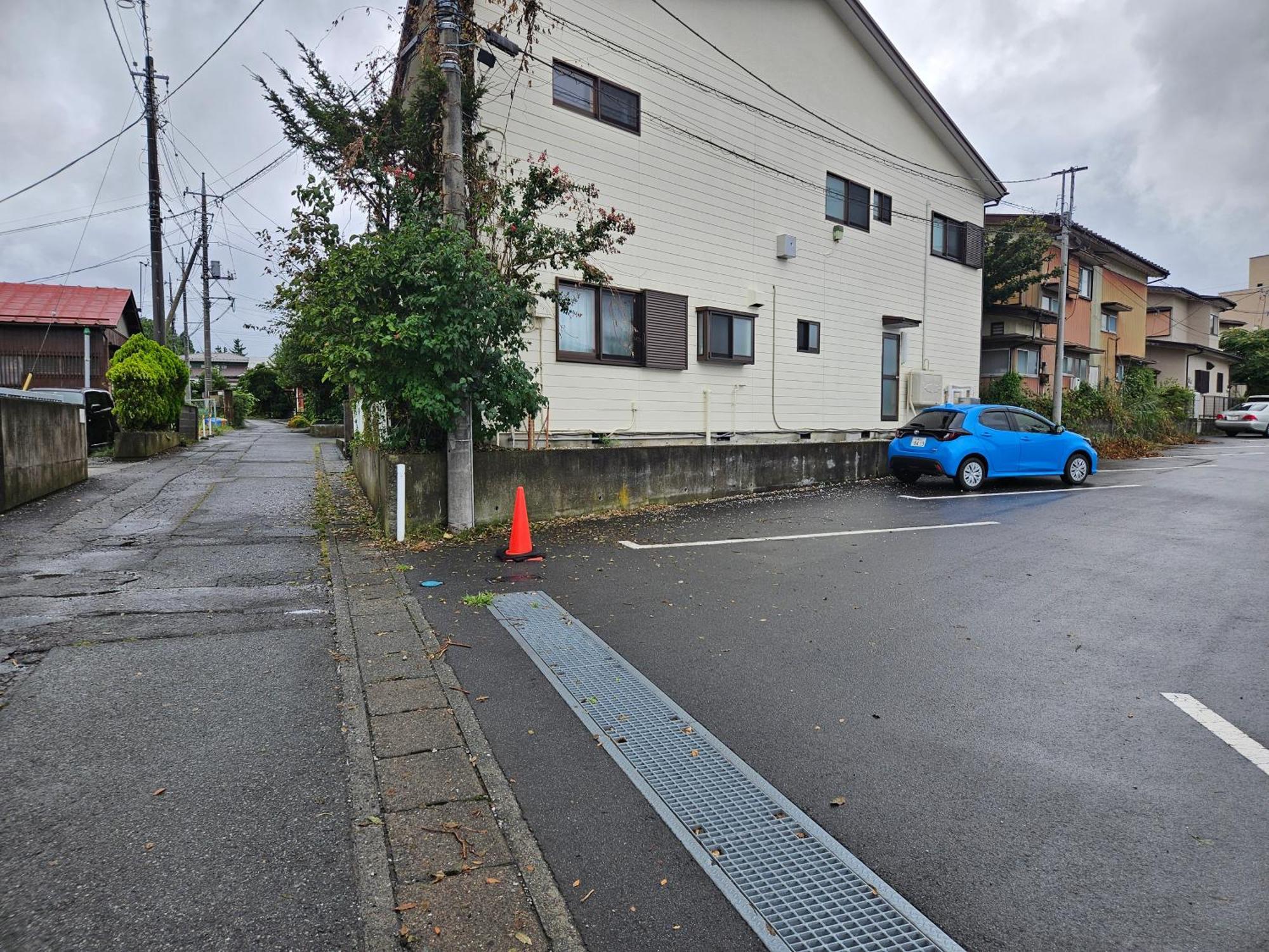 Risa Fuji